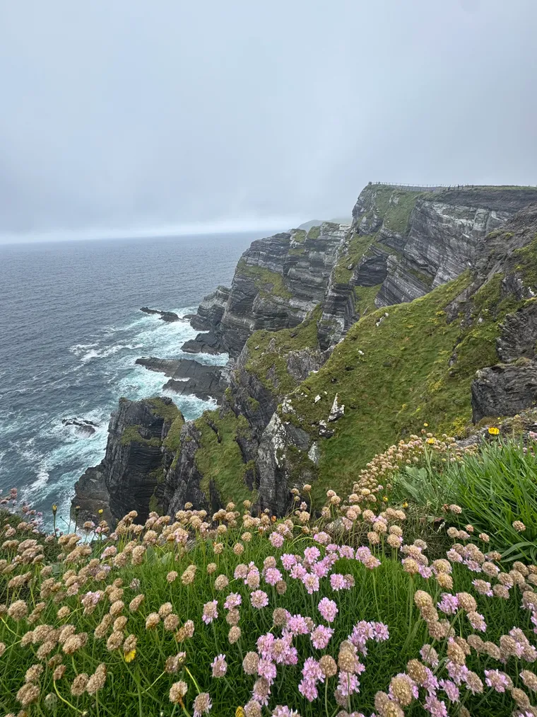 Thrift on the Cliff