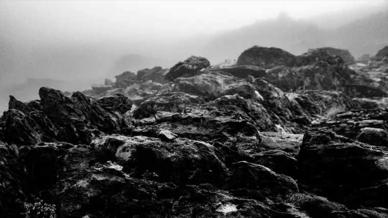 Rocks in Fog
