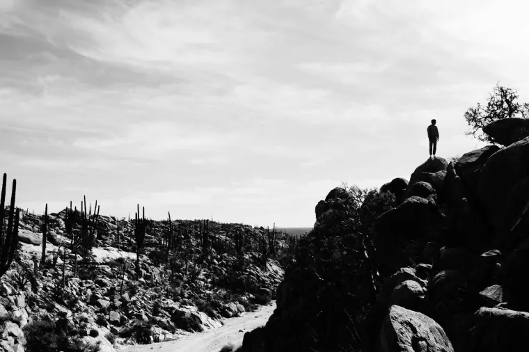 Lookout