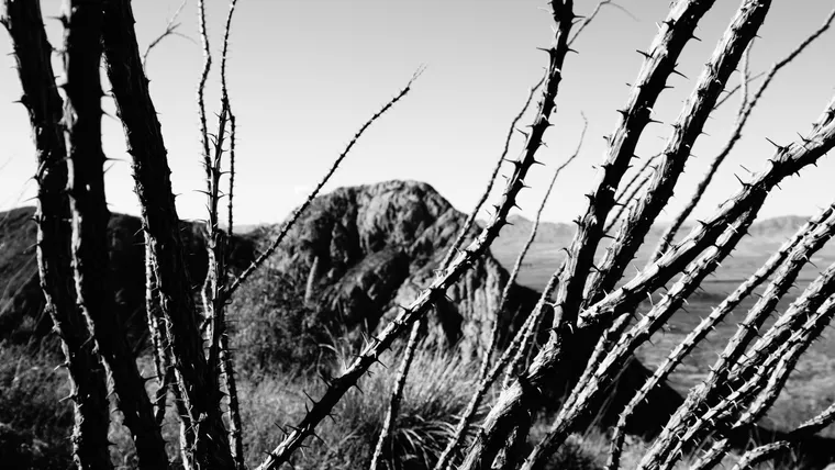 Ocotillo, Ridge