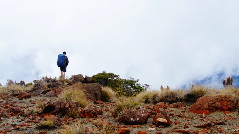 Ridge in Cloud